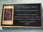 Plaque placed to commemorate Mountain/Bellevue island oak