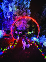 Garden of D’Lights continues at Ruth Bancroft